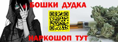 гидра Дубна