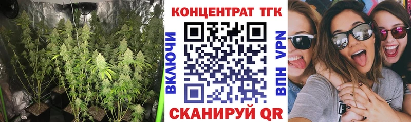 дарк нет состав  купить наркоту  Городец  Дистиллят ТГК THC oil 