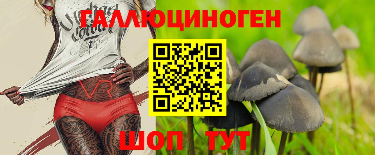 наркота  Городец  Псилоцибиновые грибы мицелий 