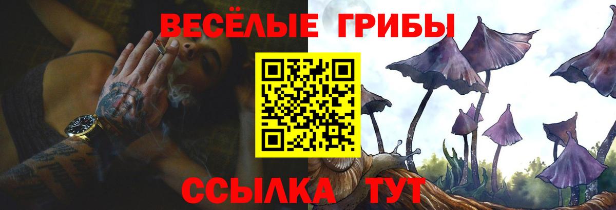 Псилоцибиновые грибы MAGIC MUSHROOMS  Псилоцибиновые грибы MAGIC MUSHROOMS  Вход с VPN  магазин продажи наркотиков  Городец 