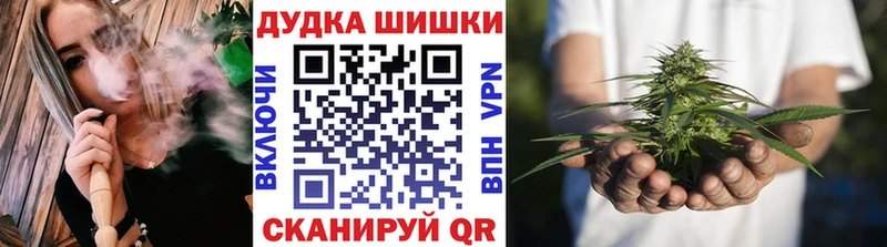 Конопля семена  где продают наркотики  Городец 