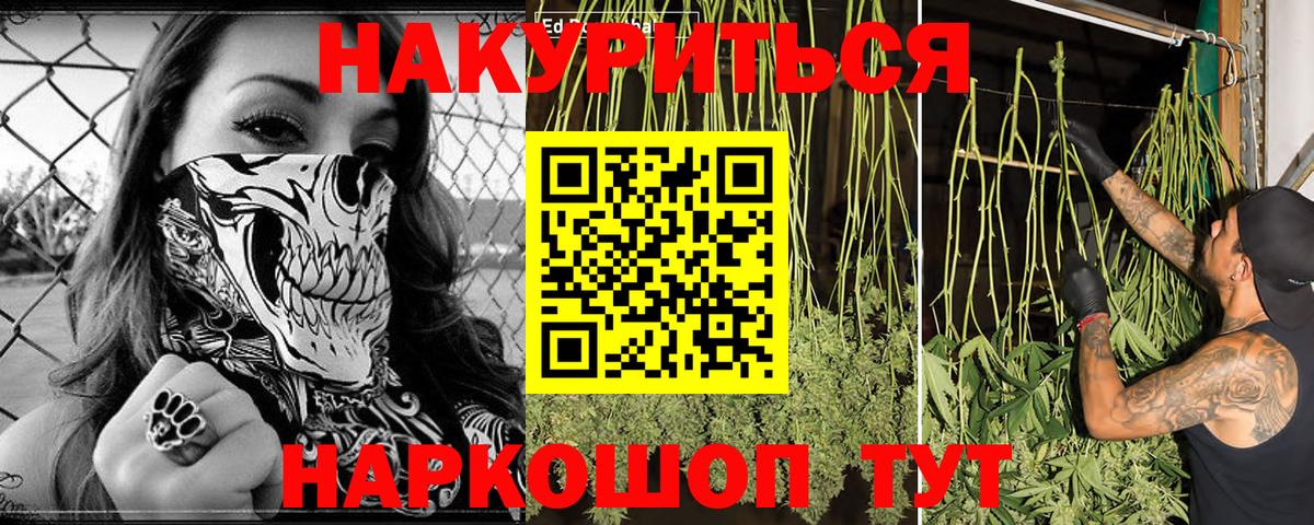 Шишки марихуана сатива  Канабис AK-47  Вход с VPN  Бошки Шишки планчик  Городец 